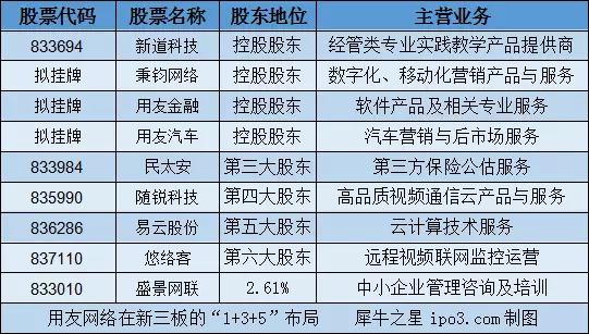 用友控股公司