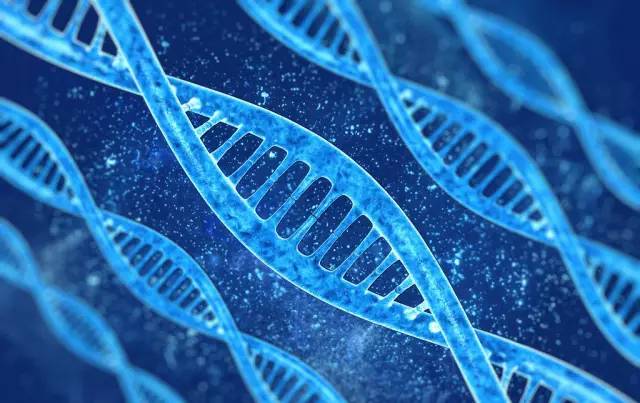 DNA 應用商店